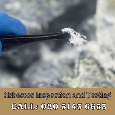 Comprehensive Asbestos Inspection and Testing Services in Muswell Hill